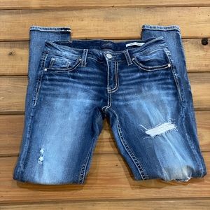 Daytrip Virgo Skinny Jeans